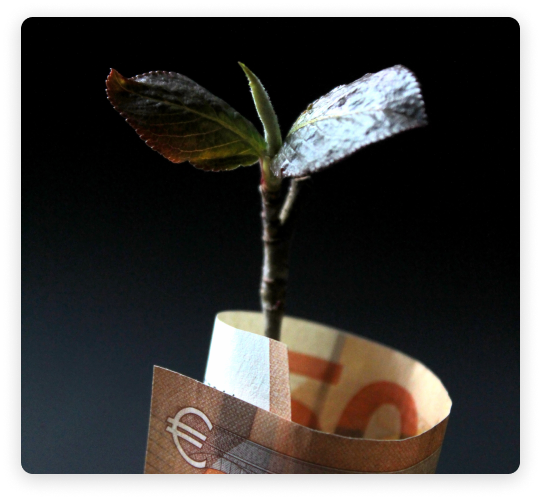 Optimizing Your Asset Allocation